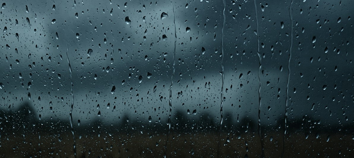 Storm Protection Products