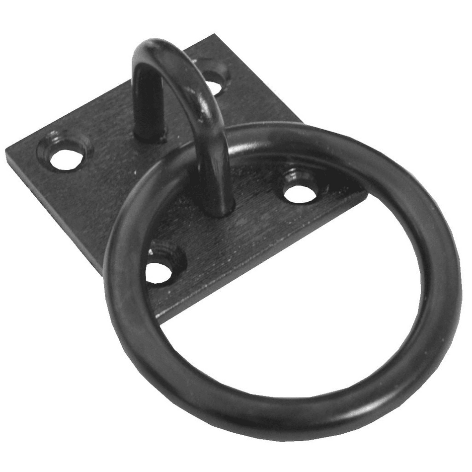 Black Epoxy Coated Ring on Plate